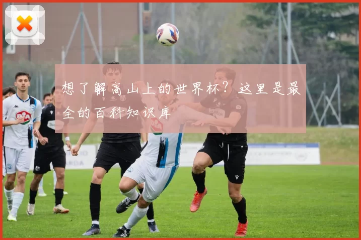 想了解高山上的世界杯？这里是最全的百科知识库