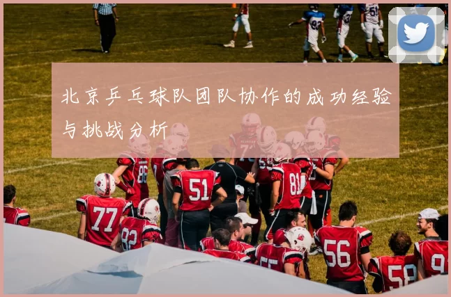 北京乒乓球队团队协作的成功经验与挑战分析