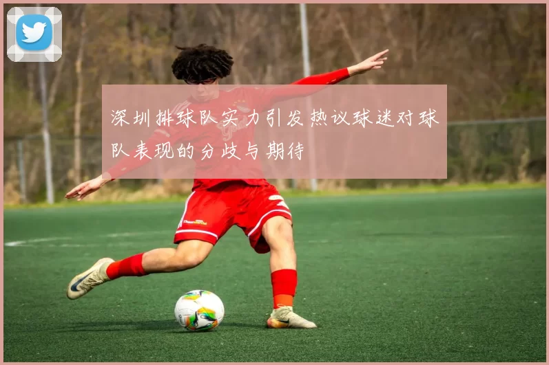 深圳排球队实力引发热议球迷对球队表现的分歧与期待