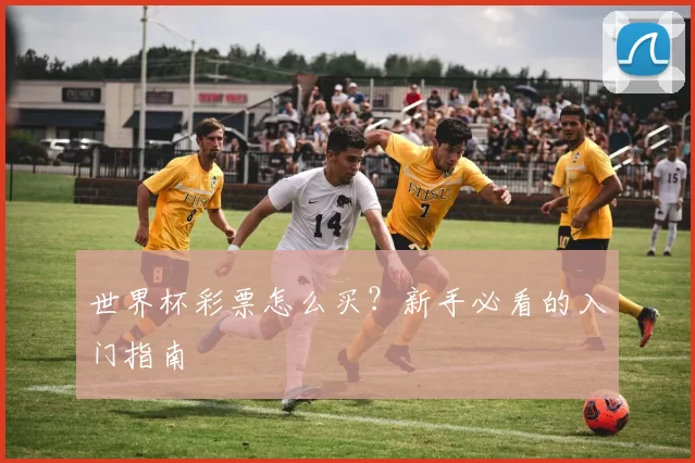 世界杯彩票怎么买？新手必看的入门指南