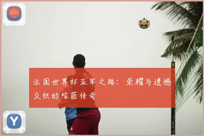 法国世界杯亚军之路:荣耀与遗憾交织的绿茵传奇