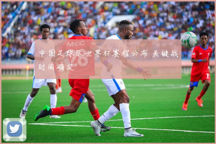 中国足球队世界杯赛程公布 关键战时间确定
