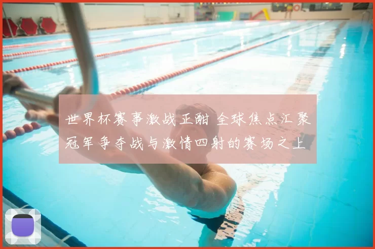 世界杯赛事激战正酣 全球焦点汇聚冠军争夺战与激情四射的赛场之上