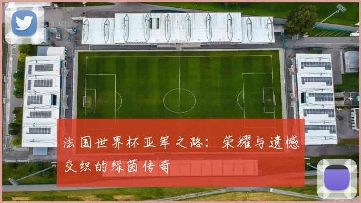 法国世界杯亚军之路:荣耀与遗憾交织的绿茵传奇