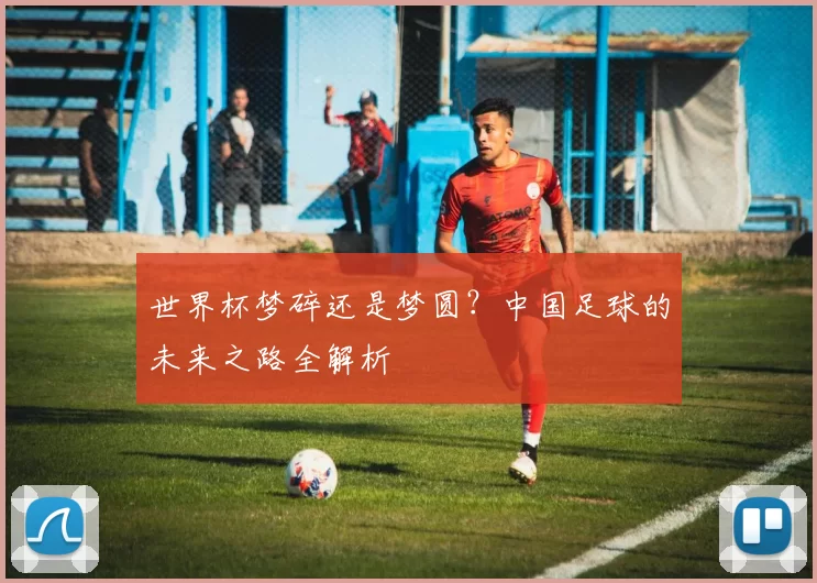 世界杯梦碎还是梦圆？中国足球的未来之路全解析