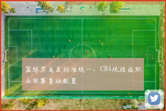 篮球架高度标准统一，CBA规格成职业联赛基础配置