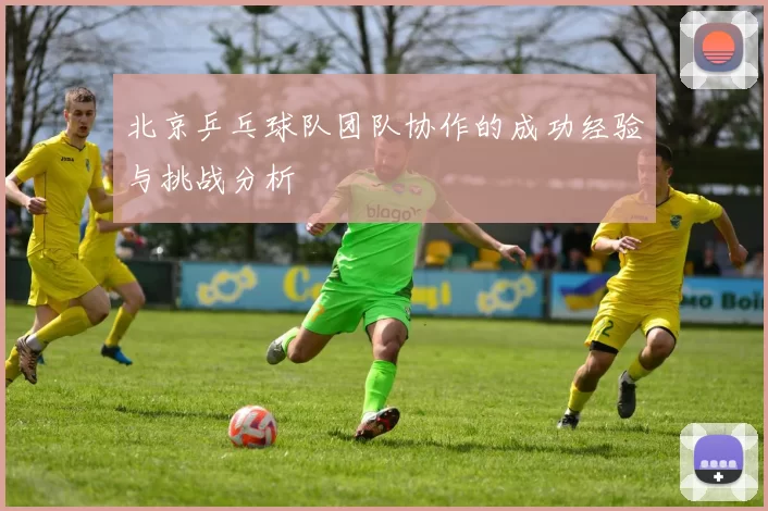 北京乒乓球队团队协作的成功经验与挑战分析