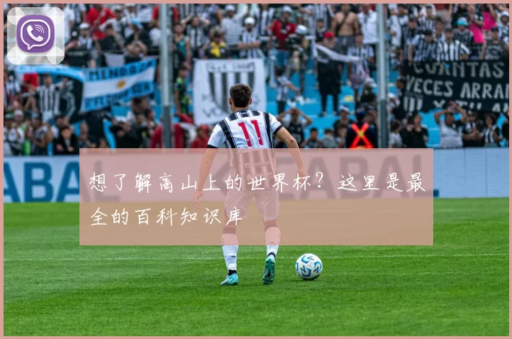 想了解高山上的世界杯？这里是最全的百科知识库