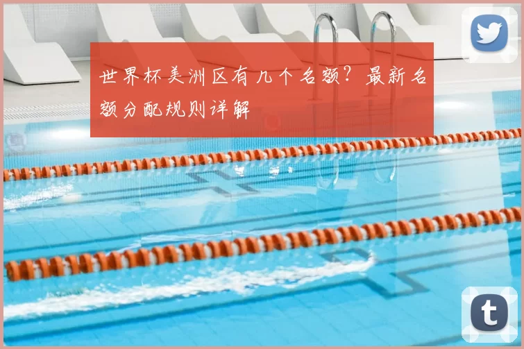世界杯美洲区有几个名额？最新名额分配规则详解