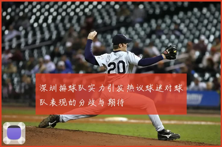 深圳排球队实力引发热议球迷对球队表现的分歧与期待
