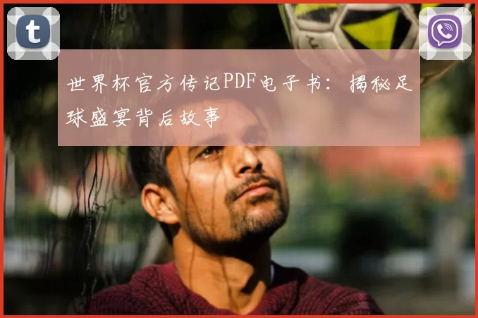 世界杯官方传记PDF电子书:揭秘足球盛宴背后故事