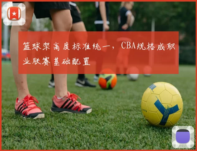 篮球架高度标准统一，CBA规格成职业联赛基础配置