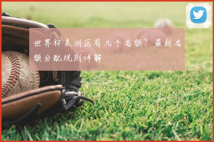 世界杯美洲区有几个名额？最新名额分配规则详解