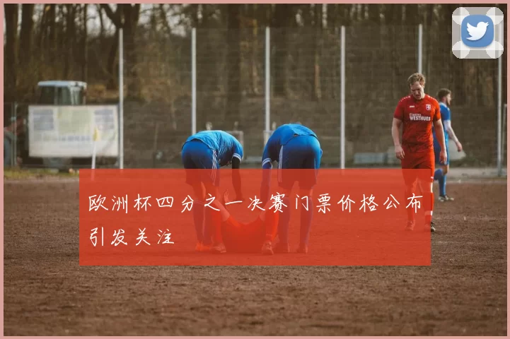 欧洲杯四分之一决赛门票价格公布引发关注